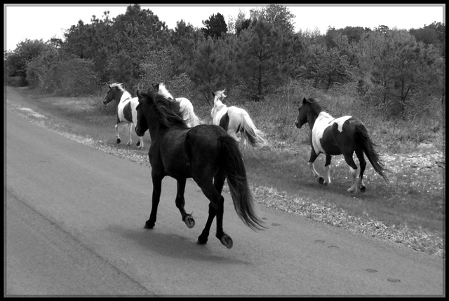 On the run