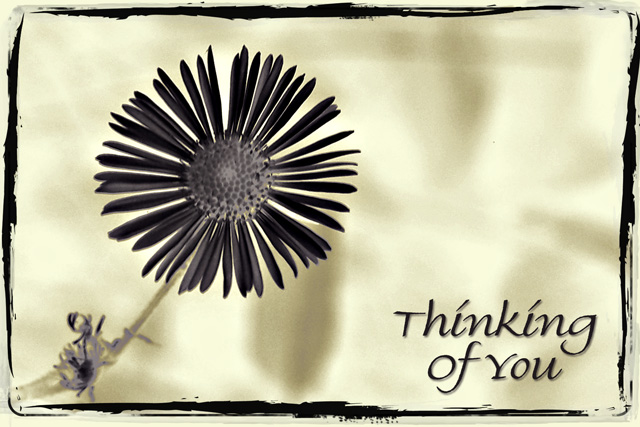Thinking of You