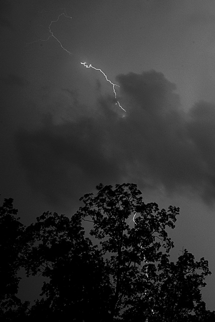 Day 17a - Lightning Thru The Trees