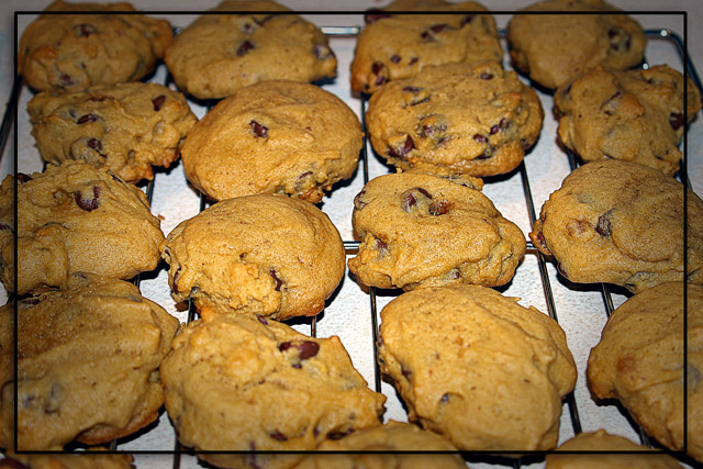 Day 23 - Chocolate Chipper Champs!