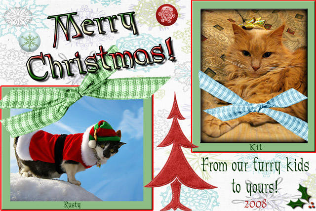 christmas-card_9678edit2.jpg
