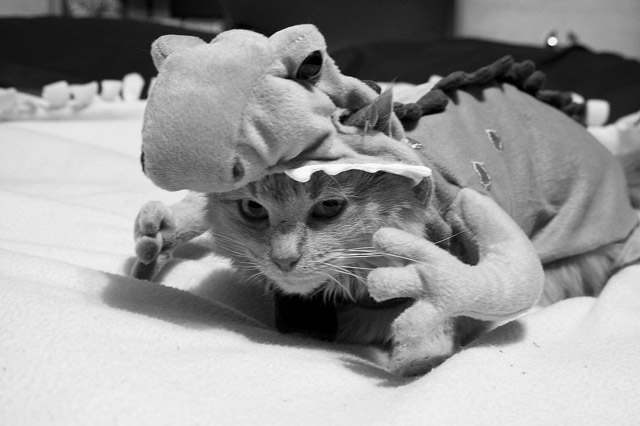 18-Kit The Dinosaur