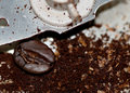 coffee-grinder.jpg