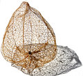 Skeletal chinese lantern