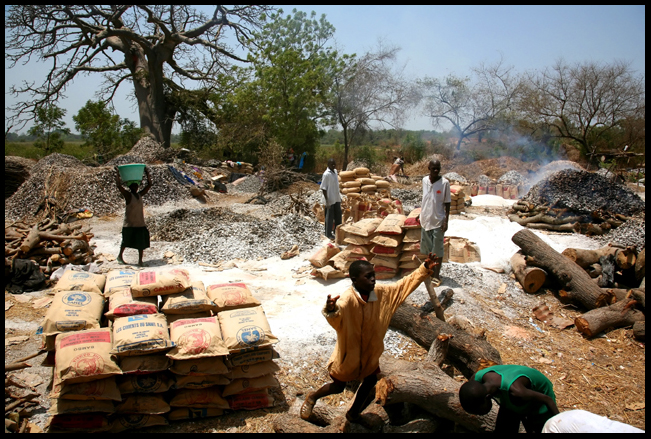Cement Factory