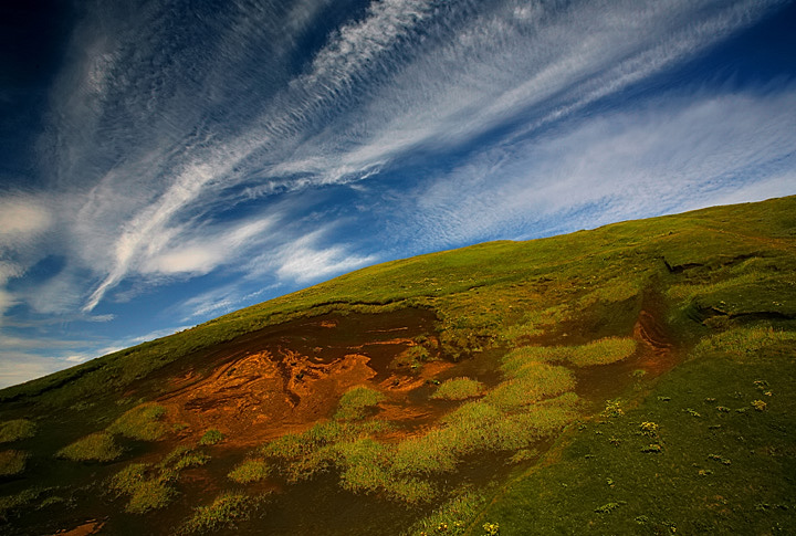 Texture of Nature
