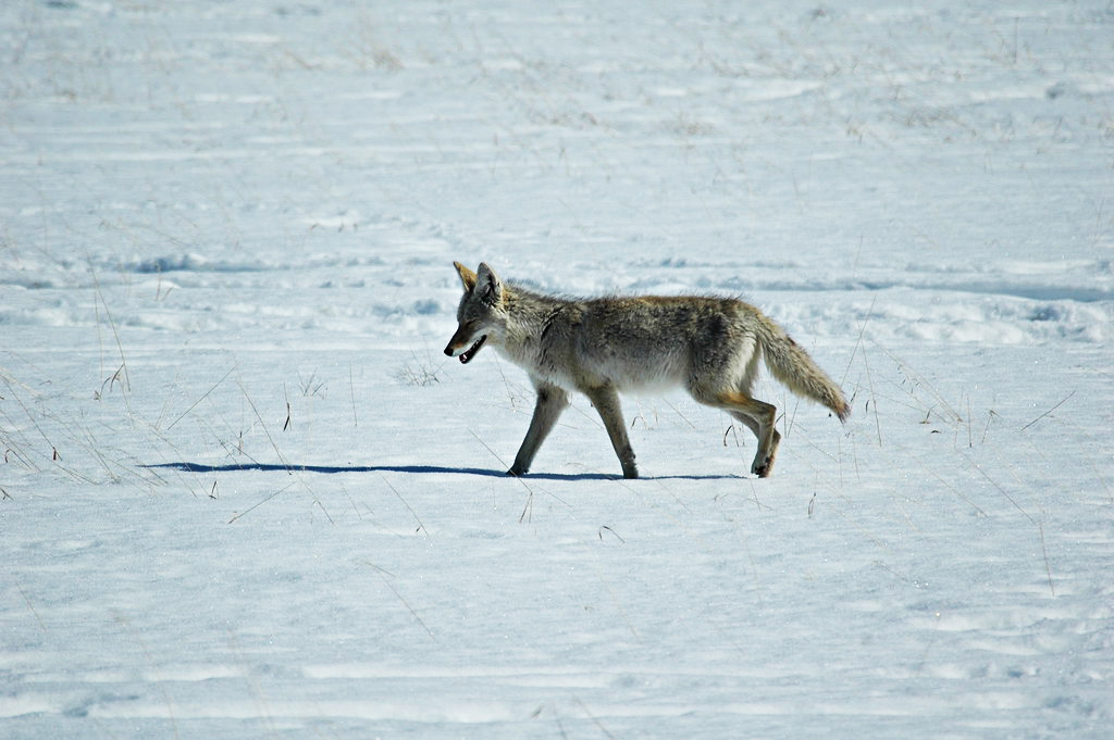 29532529_c161abcc89_b (1)