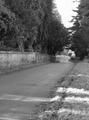 elmlodgeroad1.JPG