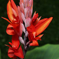 P7091431dpc.jpg