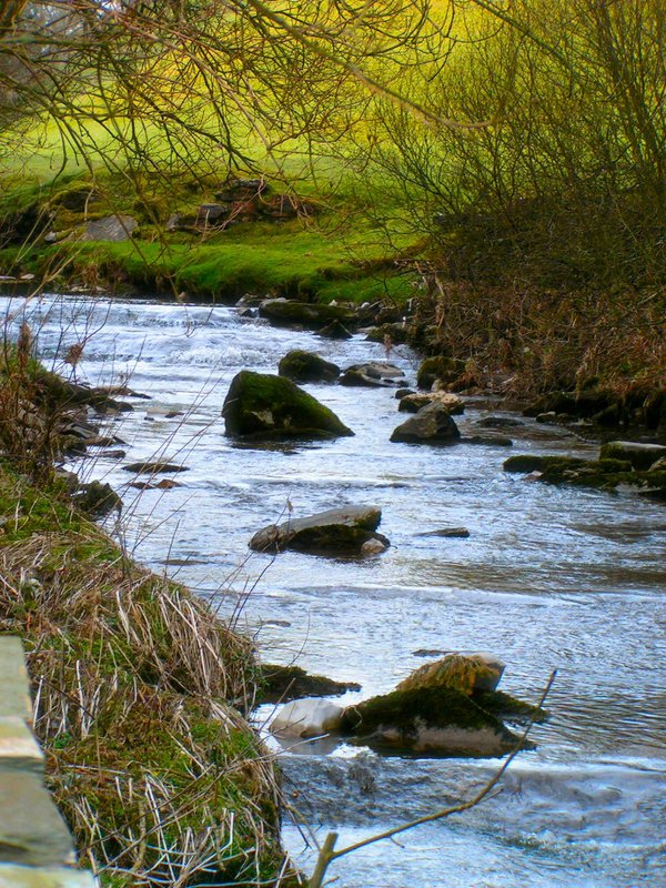 riverredo3.JPG