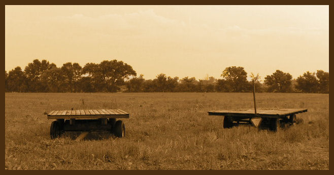 PICT2121-1.jpg