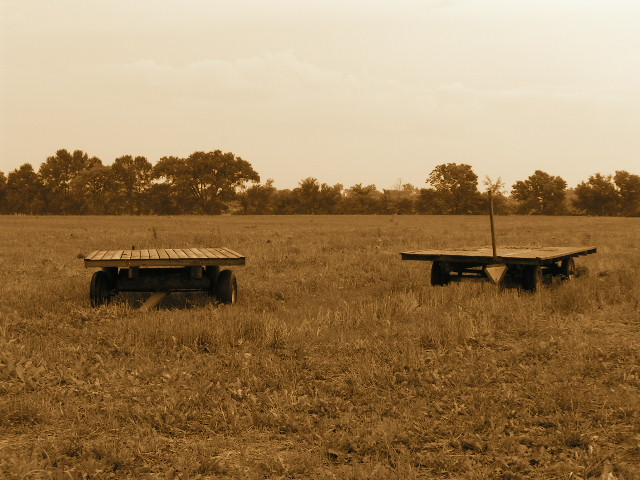 PICT2121.JPG