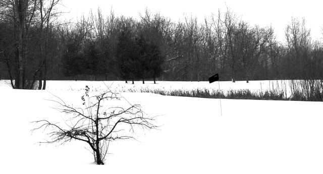PICT0026-dpc.jpg