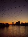 FRANKFURT SKYLINE.jpg