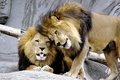 brotherly-love1.jpg
