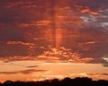 Brilliant Sunrise