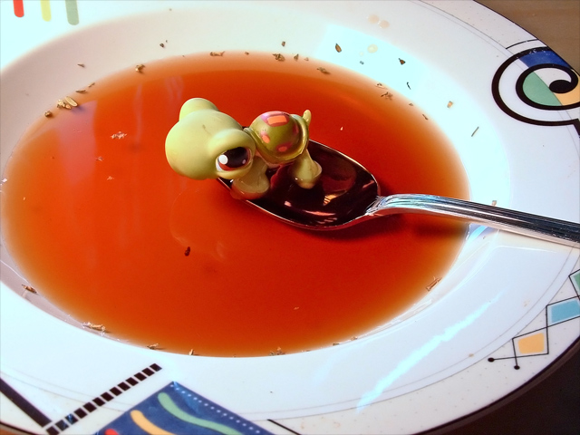 turtle-soup-2.jpg