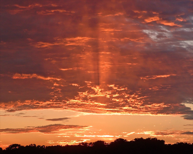 Brilliant Sunrise