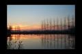 Sunset007