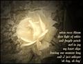 DCPoem01