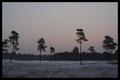 landscape05