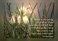 DCPoem05