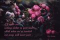 DCPoem06