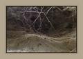 Into the Spiders world#02.jpg