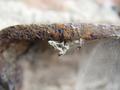 Into the Spiders world#25.jpg