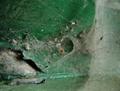 Into the Spiders world#31.jpg