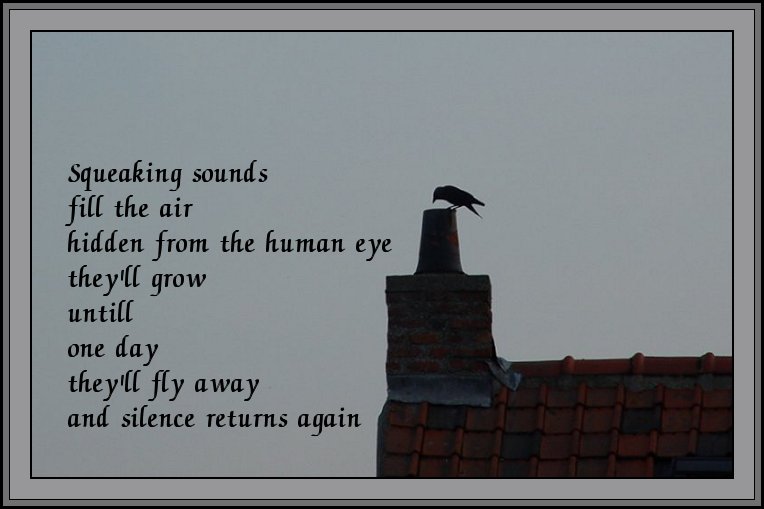 DCPoem02