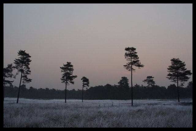 landscape05