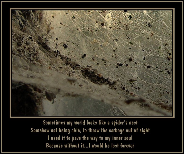 Into the Spiders world#01.jpg