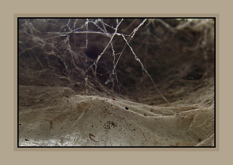 Into the Spiders world#02.jpg