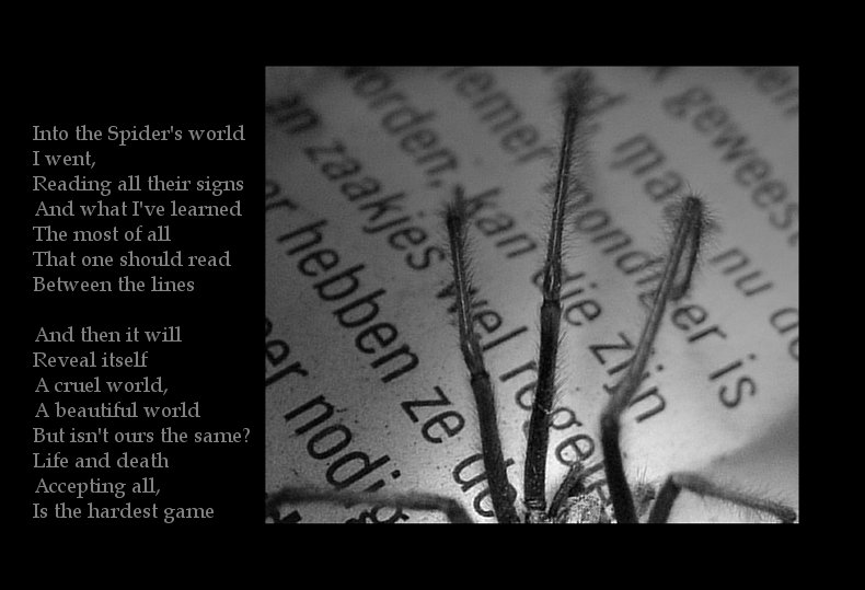 Into the Spiders world#06.jpg