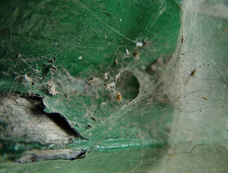 Into the Spiders world#31.jpg