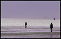The Watchers