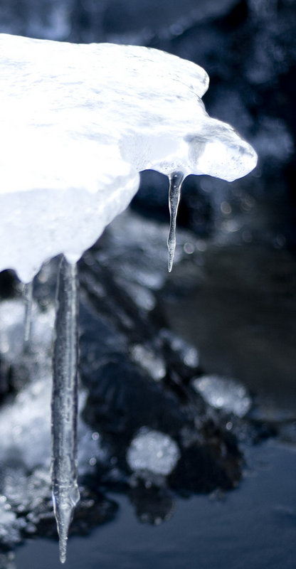 iceicebaby.jpg