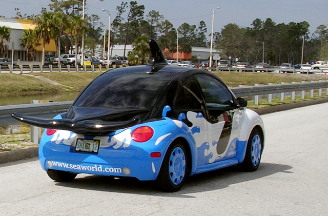 Shamu Beetle Back