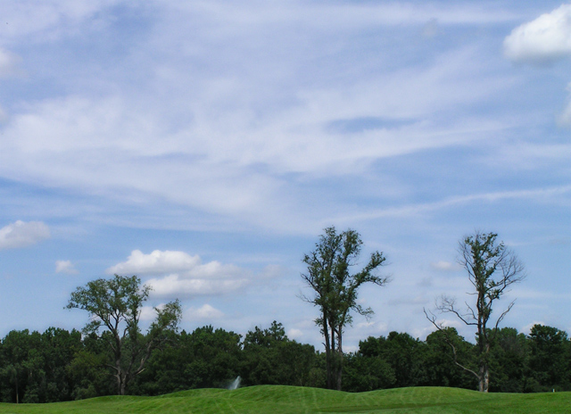 While Golfing