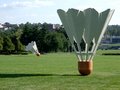 Badmitton Birdies
