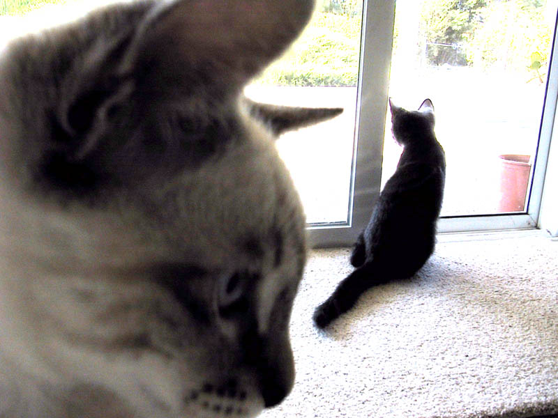 Brother and Sister