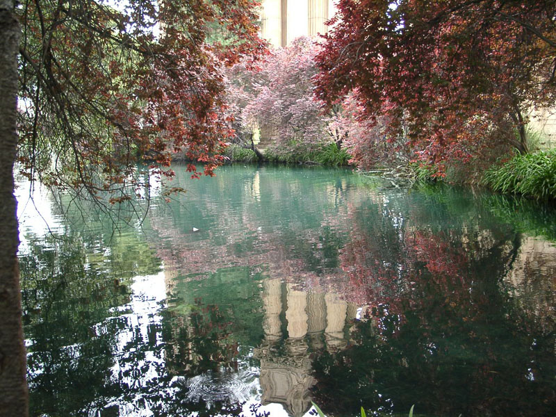 Pond