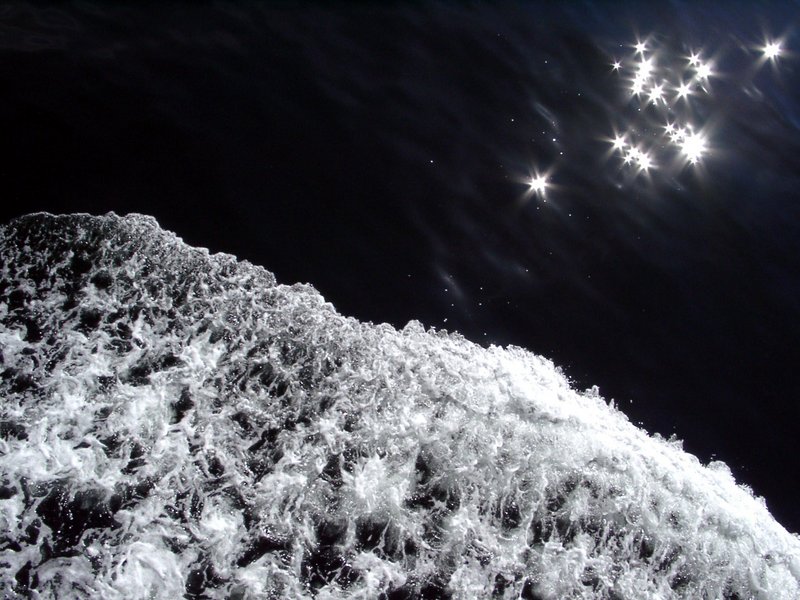 Ferry Wave