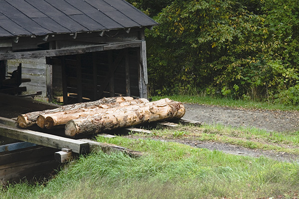 _MG_2058.jpg