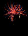 Fireworks-2_DSC0068_DPC.jpg