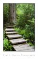 boardwalk 2