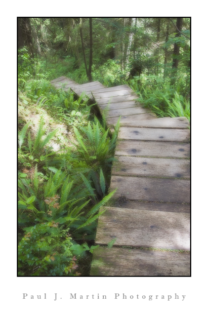 boardwalk 1