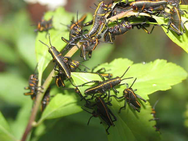 Family Reunion