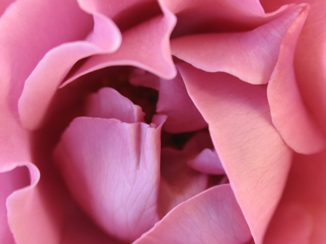 Tender Secret
